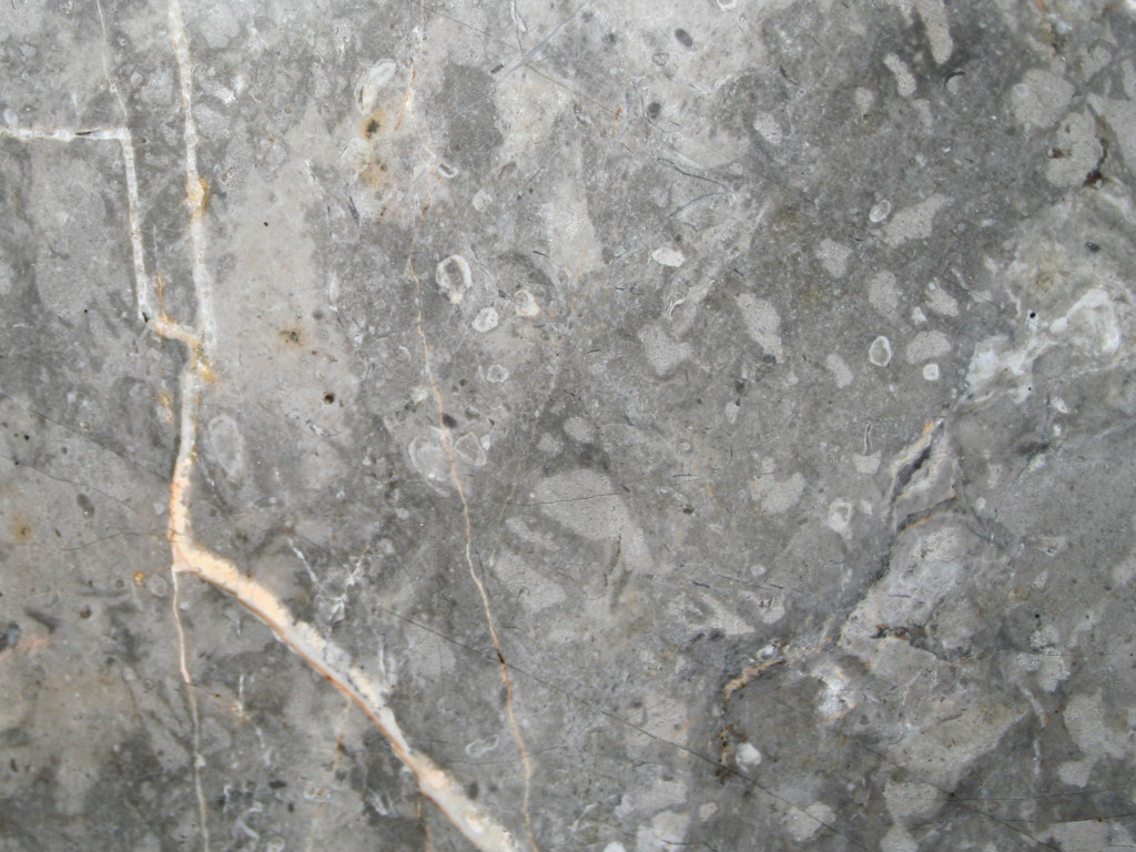 FIOR DI BOSCO MARBLE