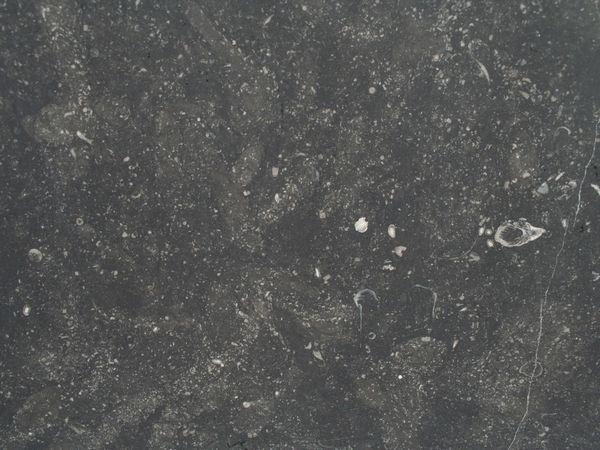 BELGIAN BLUE STONE