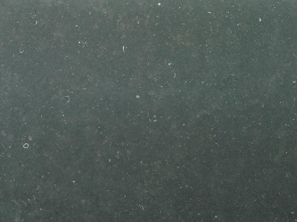 GRIS CATALAN (MOON GREY)