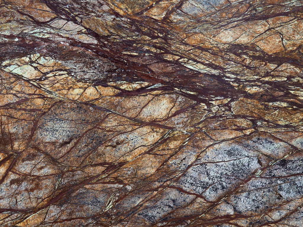 RAIN FOREST BROWN MARMI RAIN FOREST BROWN MARMI