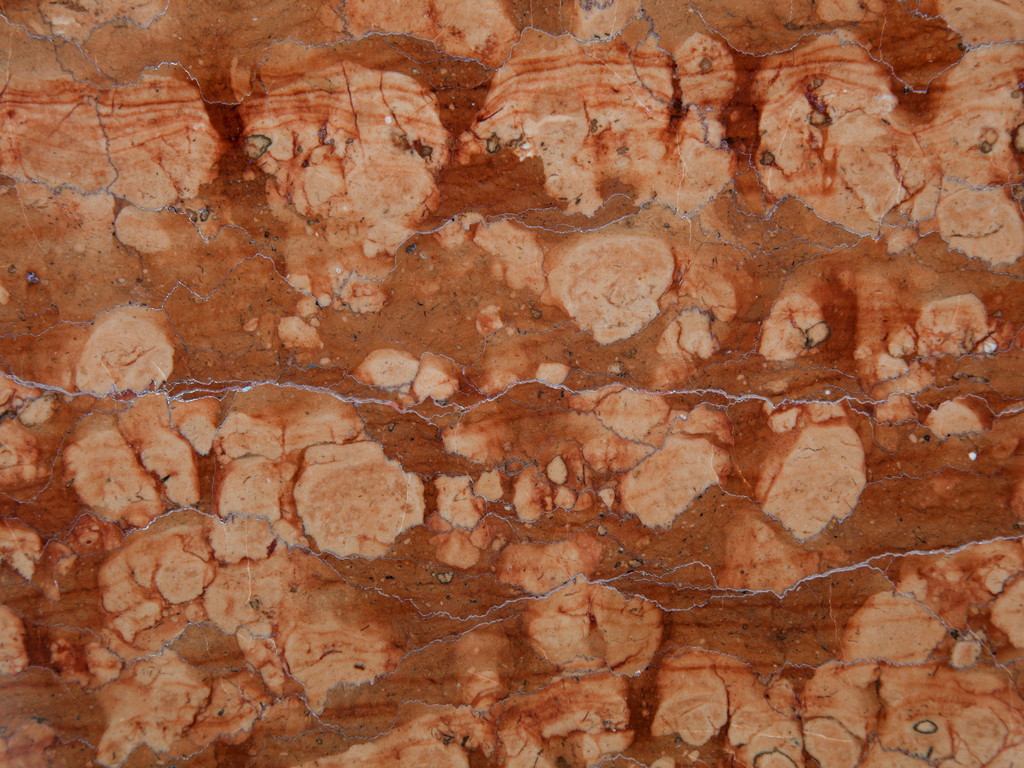 ROSSO ASIAGO MARBLE