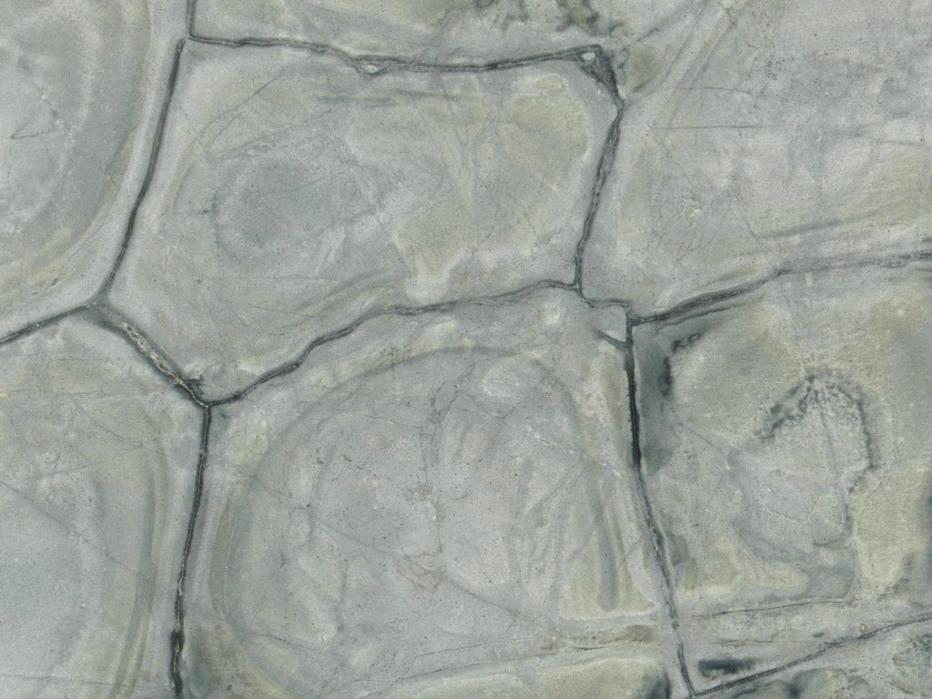 TURTLE ILLUSION QUARTZITES